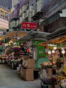 The newcube Hong Kong Guide