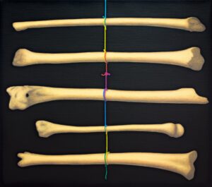 Untitled (Bones)